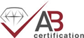 Andilog Technologies ISO 9001:2015 Certified Certificate #A529